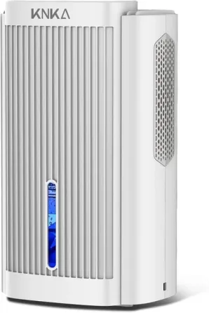 УЦЕНКА! Осушитель очиститель воздуха Dehumidifier KNKA CS06 White Днепр