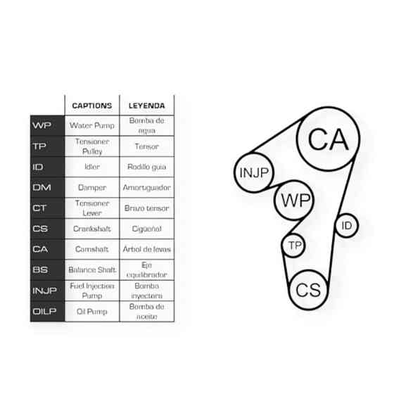 Ремкомплект Fiat Doblo, Punto, Bravo 1.9, 2.4D 94- (ремень, ролики, помпа) - ГРМ Мукачево