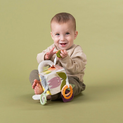 Развивающая игрушка Taf Toys кубик коллекции Садик в городе - Ежик и свекла (13095) Винница - изображение 7