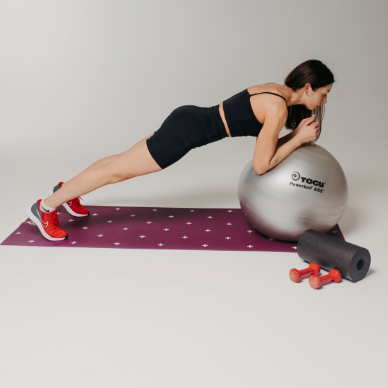 М’яч гімнастичний TOGU Powerball ABS - 55 см (срібний) Дніпро