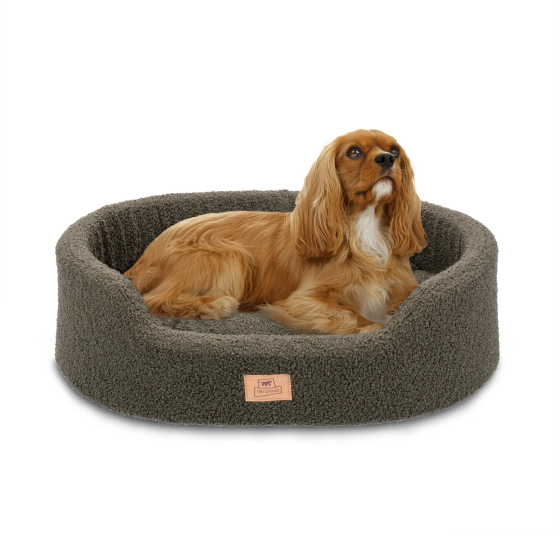 Лежак — ліжко для собак і кішок Ferplast Dandy Boucli (Ферпласт Денді) 55x41x15 см — 55, Темно-зелений Запоріжжя
