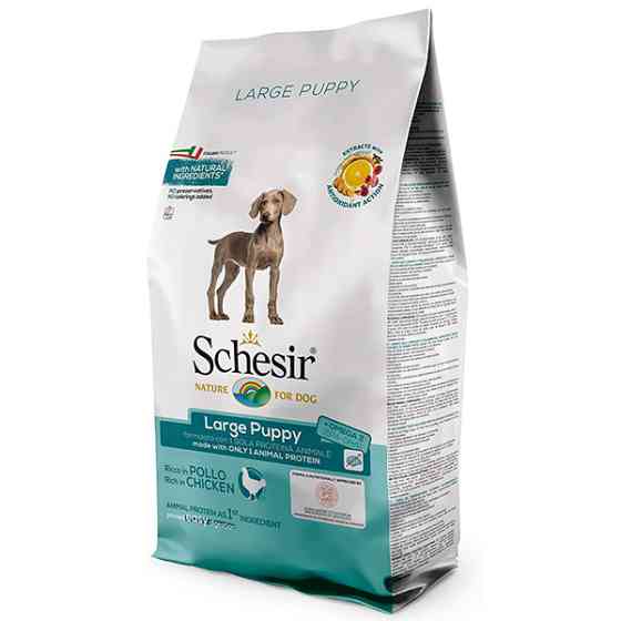 Schesir Dog Large Puppy ШЕЗІР ЦУЦЕНЯ КРУПНИХ КУРКА сухий монопротеїновий корм для цуценят великих порід Київ