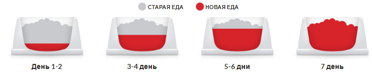 Hills SP Canine Adult Light Medium Chicken (Хиллс СП Лайт) для средних собак 11-25 кг, 1-6 лет при лишнем весе Запорожье - изображение 6