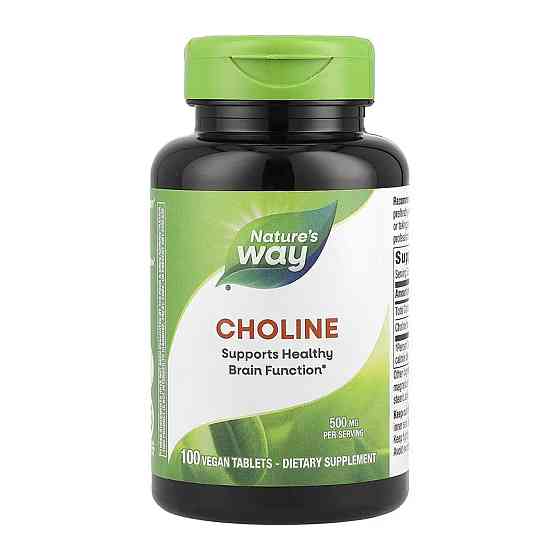 Choline 500 mg - 100 tabs Київ