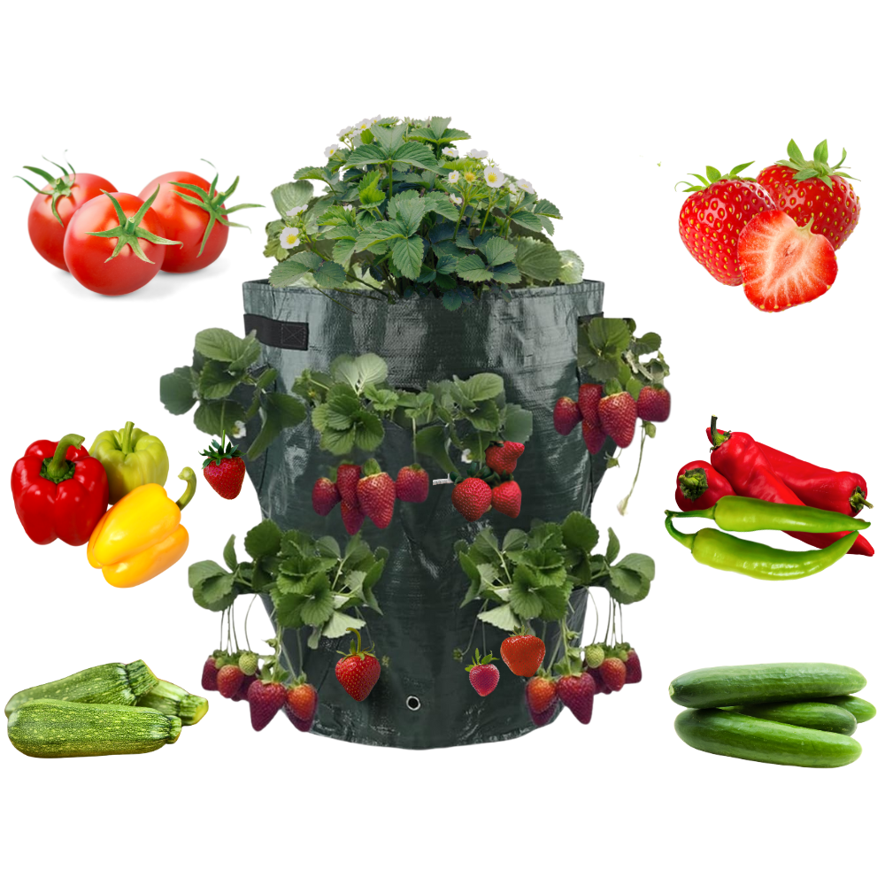 Вазон кашпо мешок-сумка для выращивания саженцев в теплице,саду огороде для рассады овощей,ягод размер 40х23 Каменец-Подольский - изображение 1