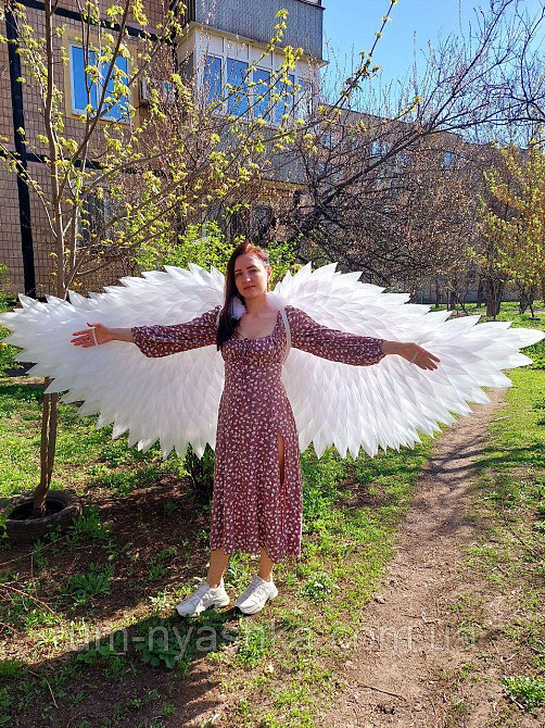 Крылья Ангела взрослые гибкие подвижные Кривой Рог - изображение 8