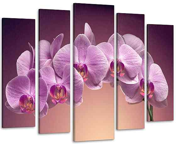 Модульная картина Орхидея Art-106_5 115x170 см Киев