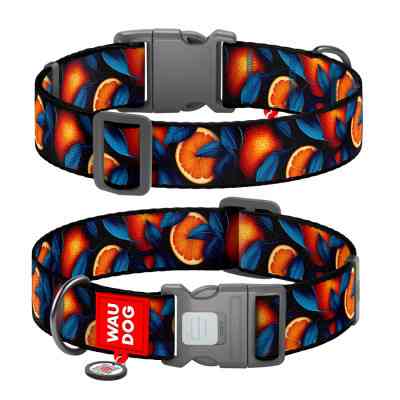 Ошейник для животных WAUDOG Nylon с QR паспортом "Апельсины" пластиковый фастекс XL (283-4054) Винница