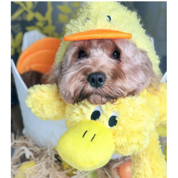 Іграшка для собак Patchwork Pet Platypus (Печворк Пет качкодзьоб) 380 Запоріжжя - фото 4