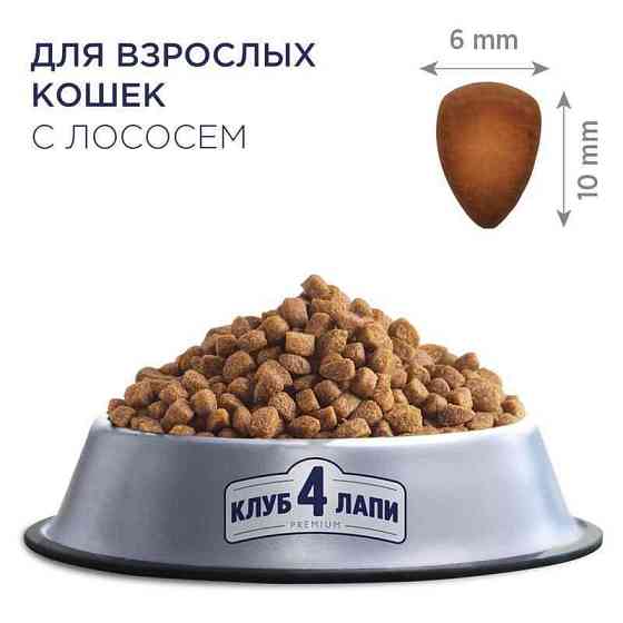 Club 4 Paws (Полуб 4 Лапи) Premium Adult Cat Salmon сухий корм із лососем для дорослих котів Запоріжжя