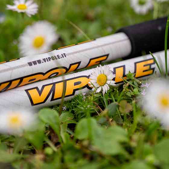 Палки трекинговые Vipole Base Camp Cork DLX (S25 06) Вінниця