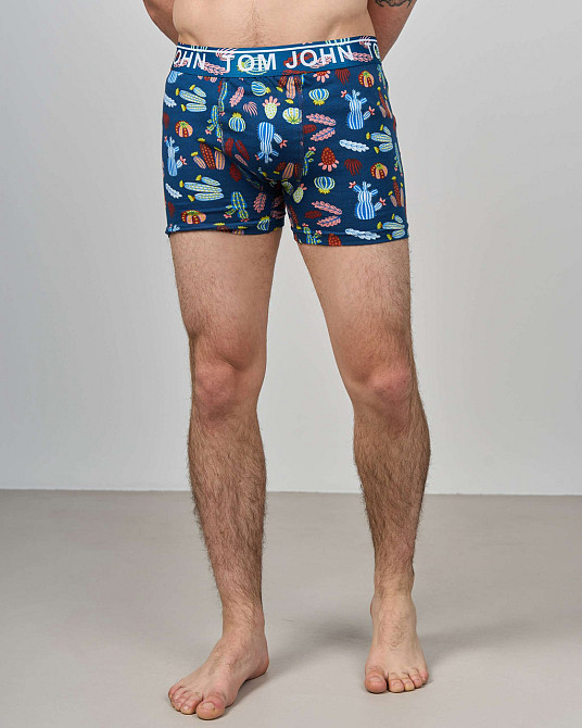 Боксеры мужские Tom John - Кактусы 2200-17 L Киев - изображение 5