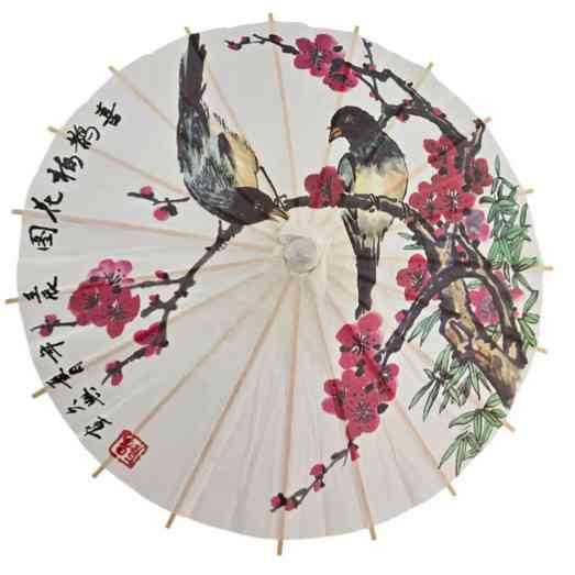 Зонт маленький бамбук с бумагой Птицы Киев