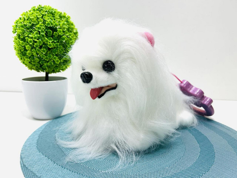 Собачка інтерактивна на пульту Ши-тцу з повідцем сенсорна музика та звуки українською гавкає Біла (M 6212 I UA) Чернигов - изображение 6