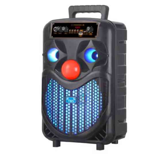 Бездротова акустична колонка NDR-P66 Вінниця