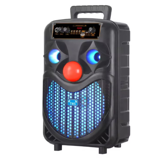 Бездротова акустична колонка NDR-P66 Вінниця - фото 1