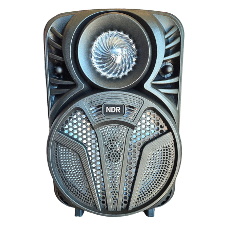 Бездротова Bluetooth-колонка NDR P33 8 дюймів 15W Київ