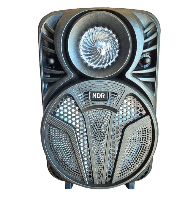 Беспроводная Bluetooth-колонка NDR P33 8 дюймов 15W Киев - изображение 5