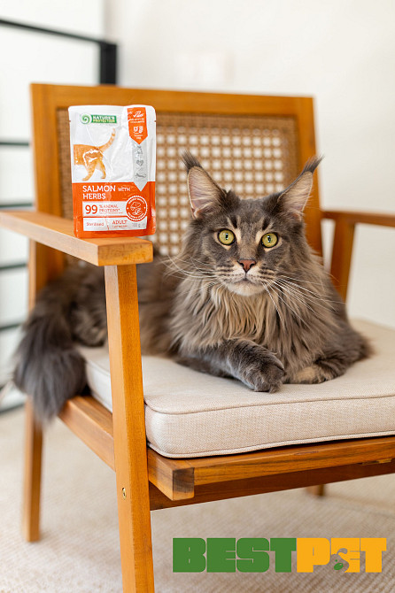 Nature’s Protection Adult cats Sterilised Salmon with Herbs Вологий корм для стерилізованих котів з лососем і травами, 100 г Київ - фото 4
