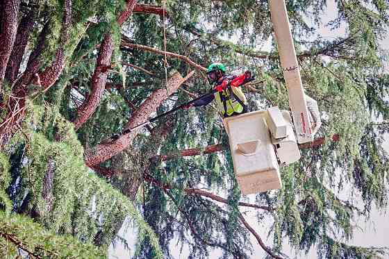 Высоторез цепной телескопический MILWAUKEE M18 FTPS30-121 4933480869 Одесса