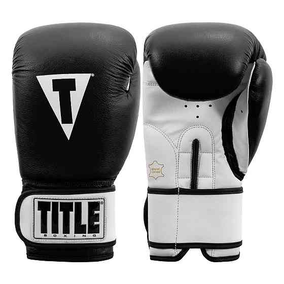 Боксерські рукавиці TITLE Premier Leather Black/White L 14 oz (бинти 4м. в комплекті) Каменское