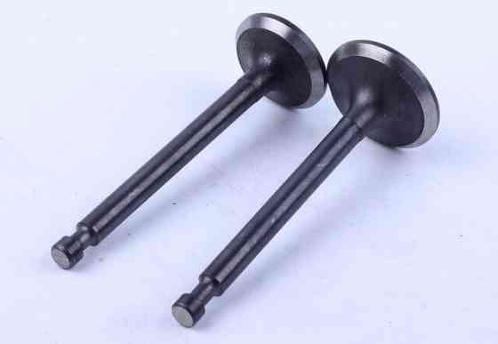 Клапаны, к-т: 2 шт. - мотоблок 177F Мукачево