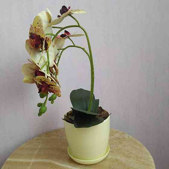 Штучна латексна міні орхідея в жовтому пластиковому кашпо на дві гілки жовто-бордова Дніпро