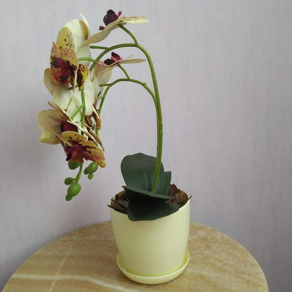 Штучна латексна міні орхідея в жовтому пластиковому кашпо на дві гілки жовто-бордова Дніпро - фото 2