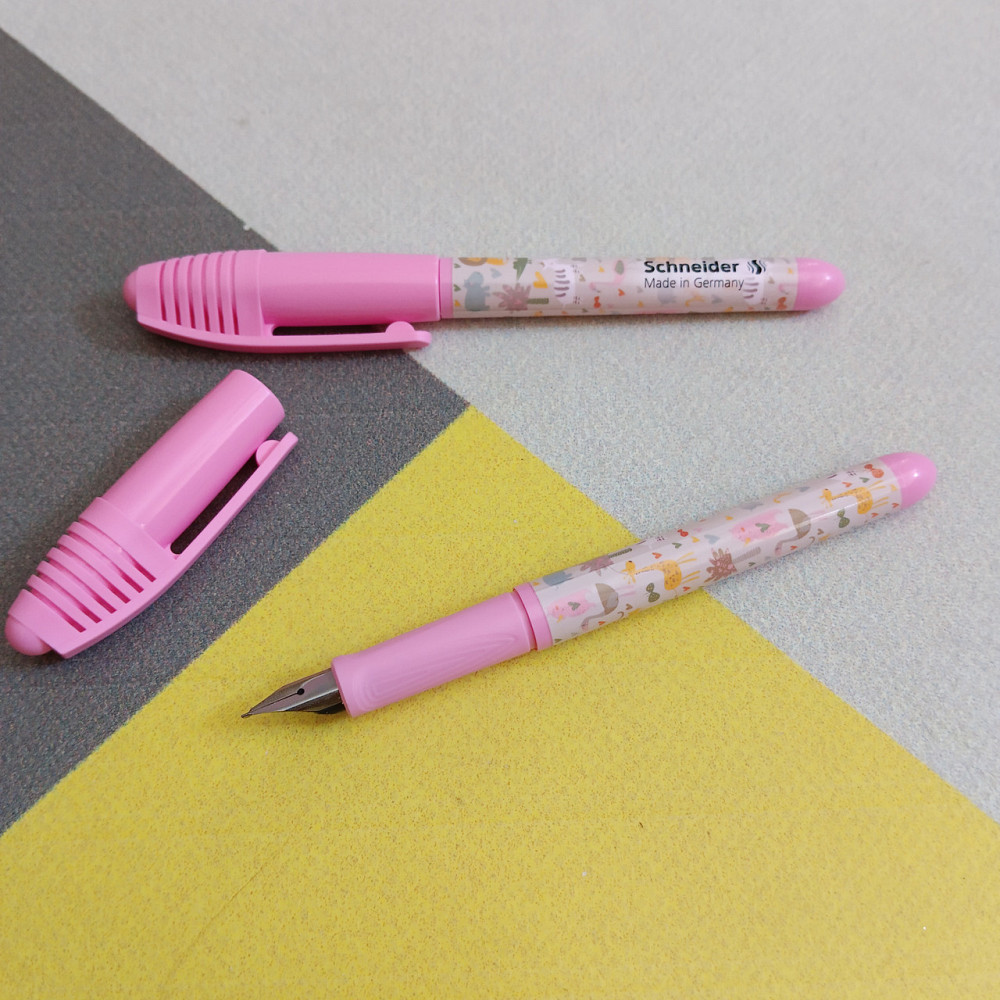 Ручка чорнильна Schneider відкрите перо та 4 капсули Київ - фото 1