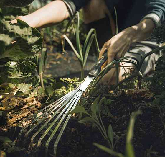 Ручные Грабли веерные 44.3 см Fiskars 