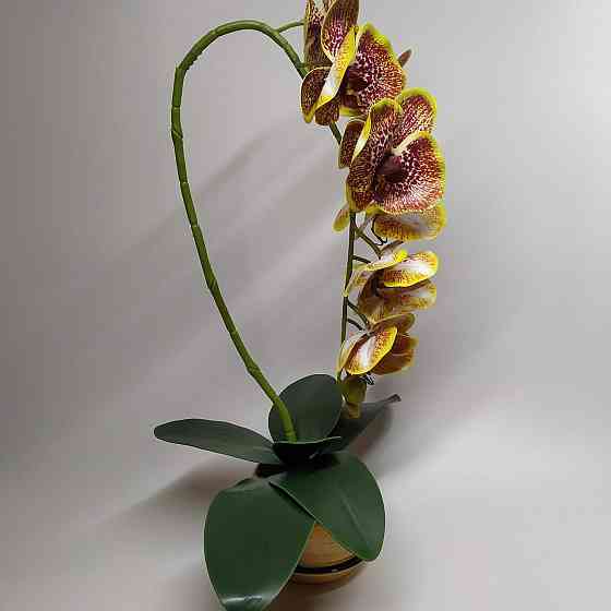 Штучна латексна орхідея VIP у жовтому керамічному кашпо на одну гілку жовто-червона. Дніпро