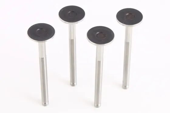 Клапана Таврия RAF выпускные (4 шт.) Винница