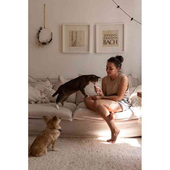 Вітаміни GimCat Expert Line Senior для котів, старше 7 років, 50 г Вінниця