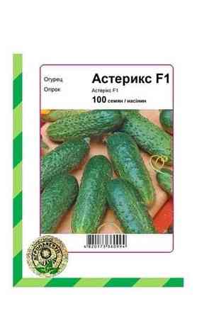 Семена Огурец Астерикс F1 100 семян Bejo Zaden Винница