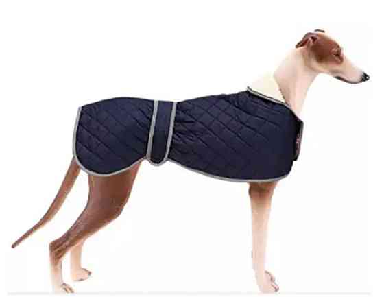 Курточка для собак розмір XL, XXL 16072 Луцк