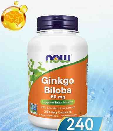 Гінкго білоба Now Foods Ginkgo Biloba 60 мг 240 вег капсул Київ