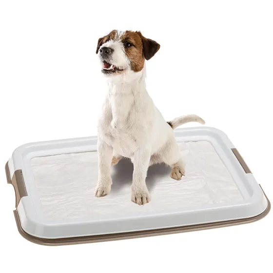 Лоток для гигиенических пеленок для собак Ferplast Hygienic Pad Tray (Ферпласт Гигиеник Пад Трей) Запорожье