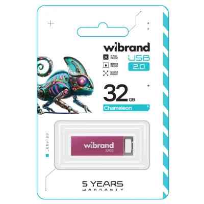 USB флеш накопитель Wibrand 32GB Chameleon Pink USB 2.0 (WI2.0/CH32U6P) Винница