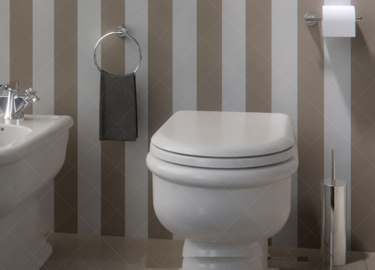 Ёршик для унитаза Gedy Genziana (GE33-13) напольный Хром Винница - изображение 4