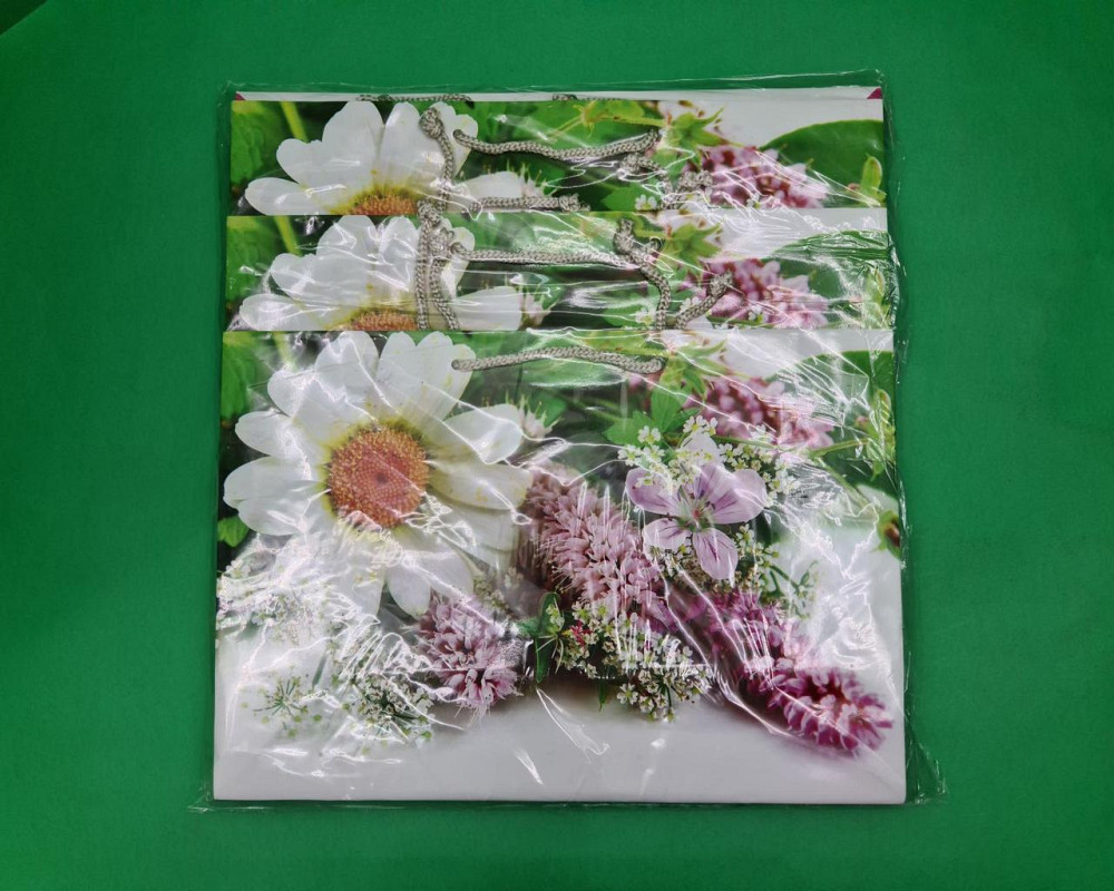 Бумажный большой горизонтальный пакет  36/22/10(артBG-086) (12 шт) Харьков - изображение 4