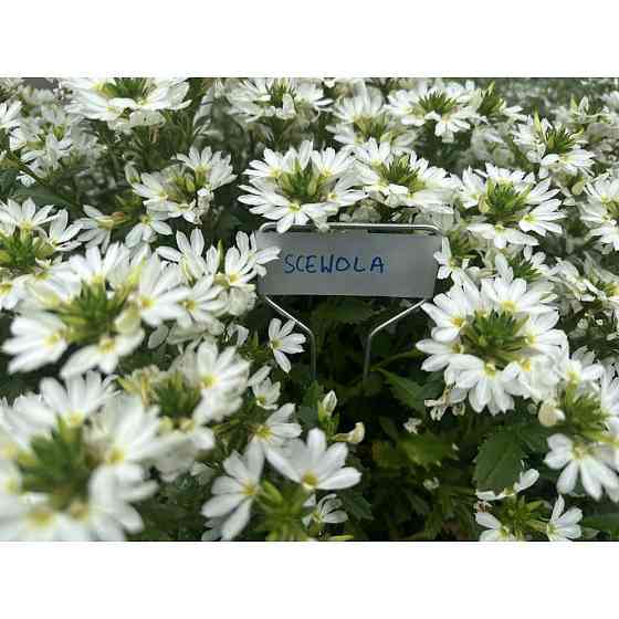 Табличка для рослин 25x6,6 см, 10 шт, алюміній, TYE256622AL/10B Київ