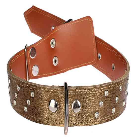 Нашийник 5245 35мм "Перламутр" шкіряний подвійний прикрашений стразами Синій Вінниця