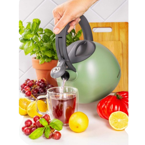 Чайник 2,7 л 100323 Ofenbach Житомир - фото 4