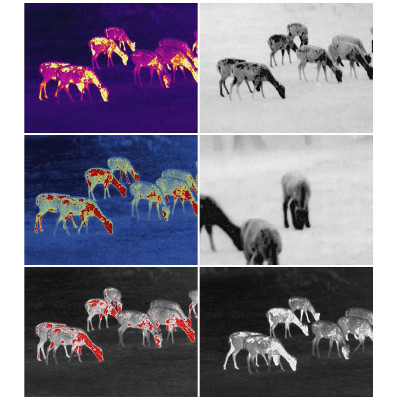 Монокуляр Guide Тепловізійний TrackIR 50mm 400x300px (747107) Вінниця - фото 7