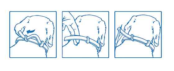 Нашийник Foresto (Форесто) 70 см від бліх та кліщів для собак великих порід Elanco (термін придатності до 07.2028 р) Київ