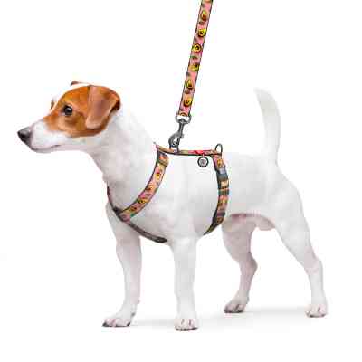 Шлей для собак WAUDOG Nylon анатомическая H-образная с QR-паспортом "Авокадо на розовом" пластиковый фастекс, L (345-4051) Винница