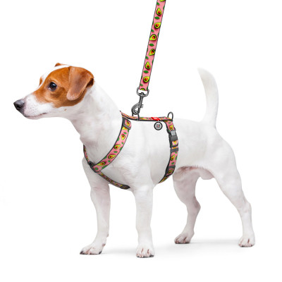 Шлей для собак WAUDOG Nylon анатомическая H-образная с QR-паспортом "Авокадо на розовом" пластиковый фастекс, L (345-4051) Винница - изображение 3