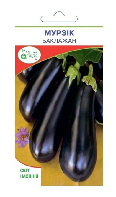Семена Баклажана Мурзик Киев - изображение 1
