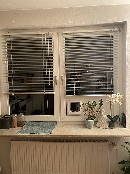 SureFlap Мікрочипні розумні дверцята для котів з контролем доступу білі захист від чужих тварин DualScan RFID-мітки Київ - фото 9