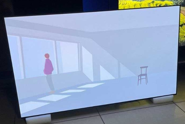 Телевизор Безрамный: 55